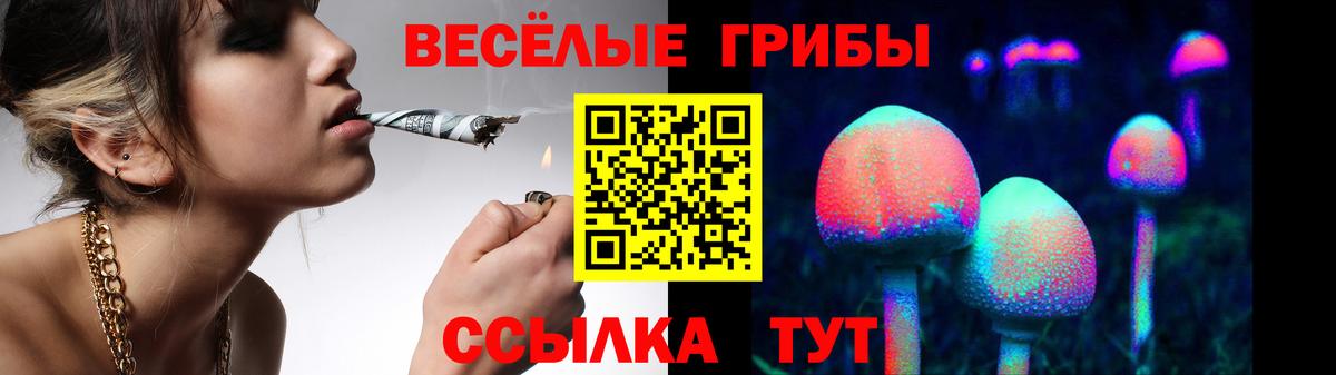 магазин продажи   Галлюциногенные грибы GOLDEN TEACHER  Вход с VPN  Галлюциногенные грибы Psilocybe  Мценск 